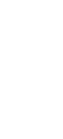 páginas web en Argentina